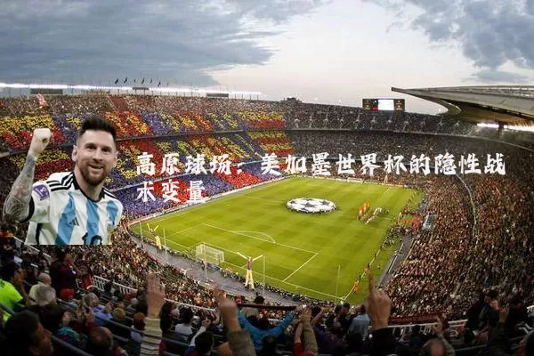 高原球场：美加墨世界杯的隐性战术变量