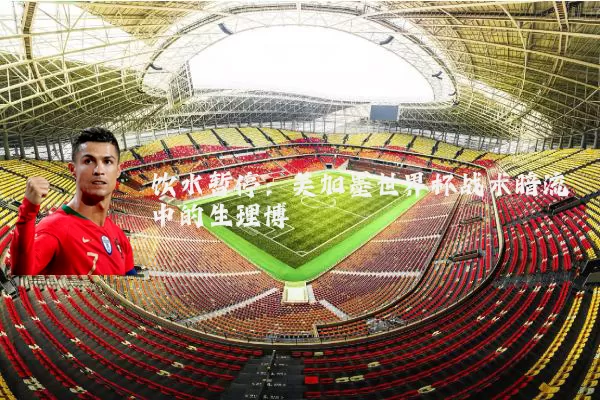 饮水暂停：美加墨世界杯战术暗流中的生理博弈